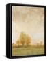Carefree Day II-Tim OToole-Framed Stretched Canvas