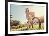 Carefree Woman Riding Bicycle in Park Having Fun on Summer Afternoon-warrengoldswain-Framed Photographic Print