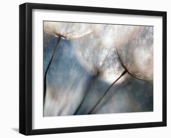 Carefree-Ursula Abresch-Framed Premium Photographic Print