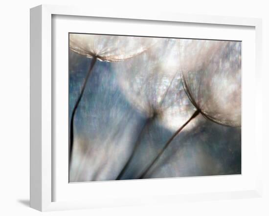 Carefree-Ursula Abresch-Framed Premium Photographic Print