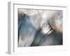 Carefree-Ursula Abresch-Framed Photographic Print