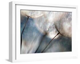 Carefree-Ursula Abresch-Framed Photographic Print