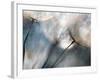 Carefree-Ursula Abresch-Framed Photographic Print