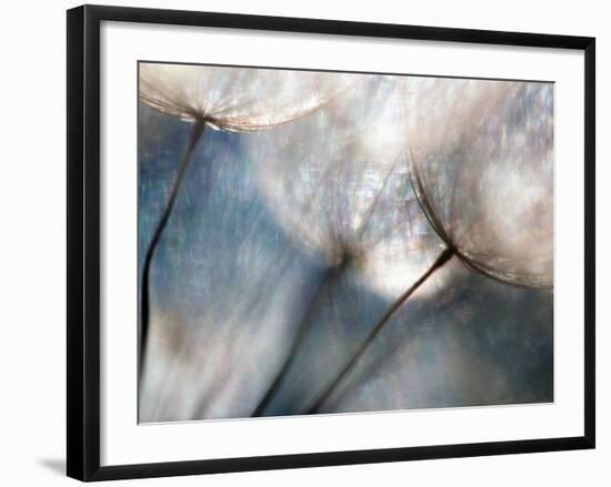 Carefree-Ursula Abresch-Framed Photographic Print