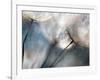 Carefree-Ursula Abresch-Framed Photographic Print