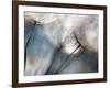 Carefree-Ursula Abresch-Framed Photographic Print