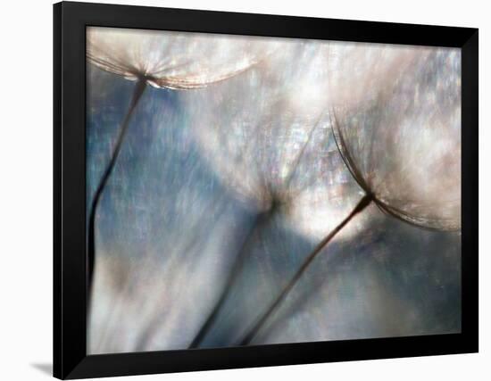 Carefree-Ursula Abresch-Framed Photographic Print