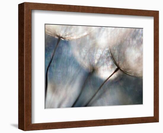 Carefree-Ursula Abresch-Framed Photographic Print