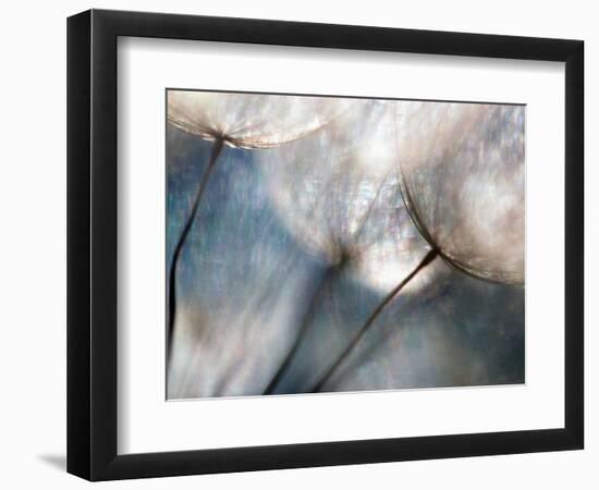 Carefree-Ursula Abresch-Framed Premium Photographic Print