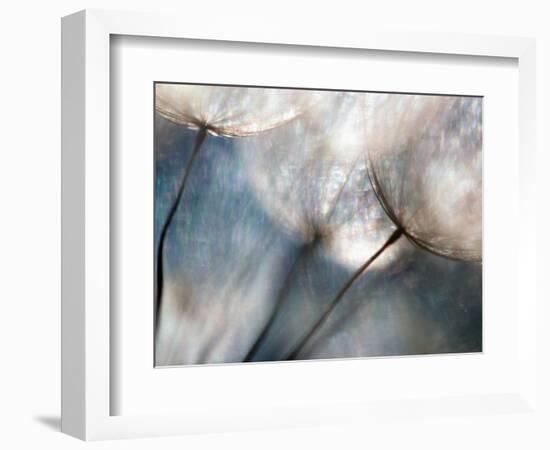 Carefree-Ursula Abresch-Framed Premium Photographic Print