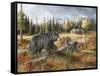 Careful Through the Meadow-Trevor V. Swanson-Framed Stretched Canvas