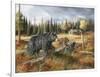 Careful Through the Meadow-Trevor V. Swanson-Framed Giclee Print