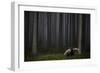 Carefully Through the Mist-Kaspars Kurcens-Framed Photographic Print