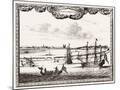 Wood Mount