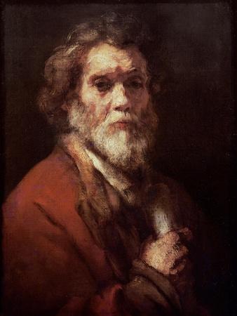 Head of an Old Man, C.1650