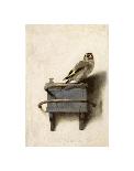 The Goldfinch, 1654-Carel Fabritius-Framed Art Print