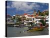 Carenage Harbour, St. George's, Grenada, Windward Islands, Lesser Antilles, West Indies, Caribbean-Richard Cummins-Stretched Canvas