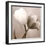 Caress-Donatella Tandelli-Framed Art Print