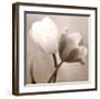 Caress-Donatella Tandelli-Framed Art Print