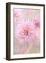 Caress-Jacky Parker-Framed Giclee Print