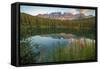 Carezza's Lake, Dolomites, Bolzano, Trentino Alto Adige, Italy.-ClickAlps-Framed Stretched Canvas