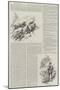 Carglen Poachers-Gordon Frederick Browne-Mounted Giclee Print