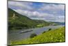 Cargo Boat Passing Castle Sooneck on the River Rhine-Michael Runkel-Mounted Photographic Print