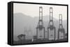 Cargo Cranes at Freight Terminal-null-Framed Stretched Canvas