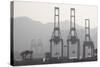 Cargo Cranes at Freight Terminal-null-Stretched Canvas