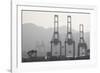 Cargo Cranes at Freight Terminal-null-Framed Photographic Print