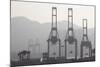 Cargo Cranes at Freight Terminal-null-Mounted Photographic Print