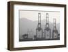 Cargo Cranes at Freight Terminal-null-Framed Photographic Print