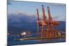 Cargo Cranes, Port of Vancouver, Vancouver, British Columbia, Canada-Walter Bibikow-Mounted Photographic Print