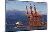 Cargo Cranes, Port of Vancouver, Vancouver, British Columbia, Canada-Walter Bibikow-Mounted Photographic Print