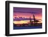 Cargo Cranes, Port of Vancouver, Vancouver, British Columbia, Canada-Walter Bibikow-Framed Photographic Print