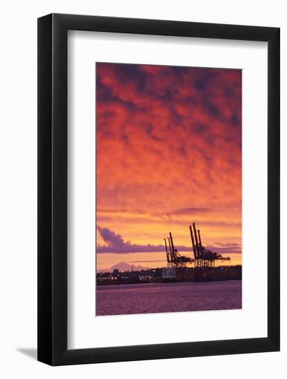 Cargo Cranes, Port of Vancouver, Vancouver, British Columbia, Canada-Walter Bibikow-Framed Photographic Print