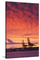 Cargo Cranes, Port of Vancouver, Vancouver, British Columbia, Canada-Walter Bibikow-Stretched Canvas