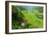 Cargo Lift Transporting People across the Hapao Rice Terraces, Banaue, Luzon, Philippines-Michael Runkel-Framed Photographic Print