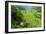 Cargo Lift Transporting People across the Hapao Rice Terraces, Banaue, Luzon, Philippines-Michael Runkel-Framed Photographic Print