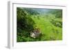 Cargo Lift Transporting People across the Hapao Rice Terraces, Banaue, Luzon, Philippines-Michael Runkel-Framed Photographic Print