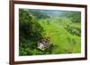 Cargo Lift Transporting People across the Hapao Rice Terraces, Banaue, Luzon, Philippines-Michael Runkel-Framed Photographic Print