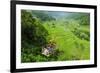 Cargo Lift Transporting People across the Hapao Rice Terraces, Banaue, Luzon, Philippines-Michael Runkel-Framed Photographic Print
