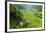 Cargo Lift Transporting People across the Hapao Rice Terraces, Banaue, Luzon, Philippines-Michael Runkel-Framed Photographic Print