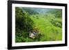 Cargo Lift Transporting People across the Hapao Rice Terraces, Banaue, Luzon, Philippines-Michael Runkel-Framed Photographic Print