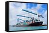 Cargo Ship at Miami Harbor with Crane and Blue Sky over Sea.-Songquan Deng-Framed Stretched Canvas