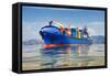 Cargo Ship Full of Containers-ilfede-Framed Stretched Canvas