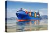 Cargo Ship Full of Containers-ilfede-Stretched Canvas