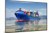 Cargo Ship Full of Containers-ilfede-Mounted Photographic Print