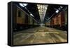 Cargo Trains in Old Train Depot-svedoliver-Framed Stretched Canvas