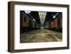 Cargo Trains in Old Train Depot-svedoliver-Framed Photographic Print